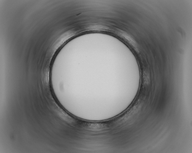 X0000113351322200910061010