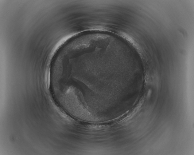 X0000113351323200910061010