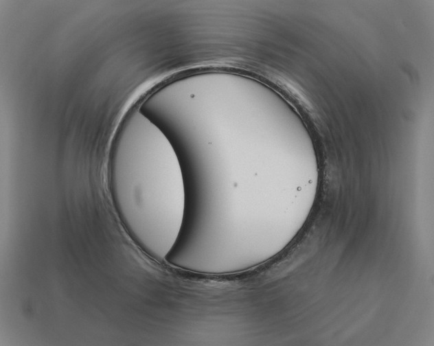 X0000113351324200910061010