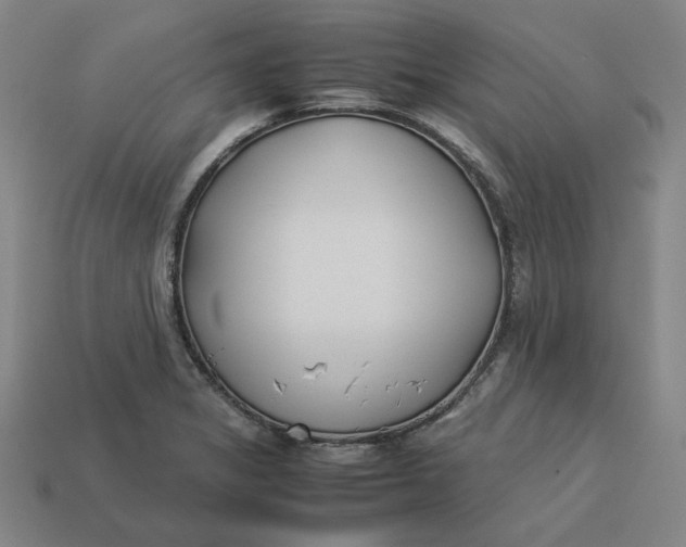 X0000113351325200910061010