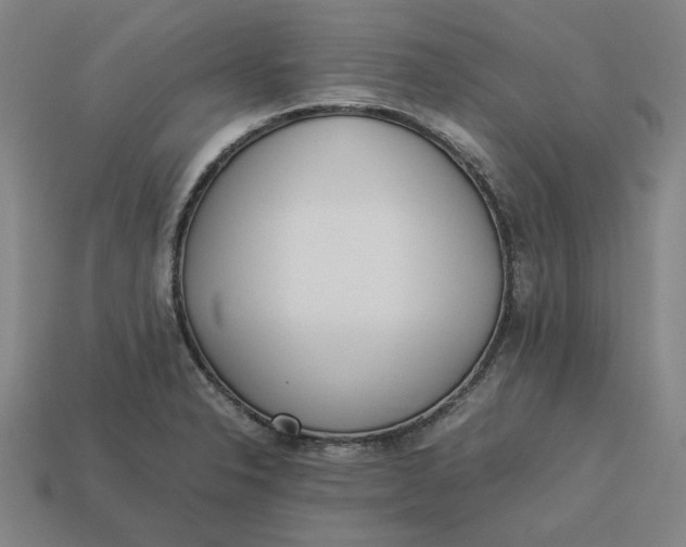 X0000113351326200910061010