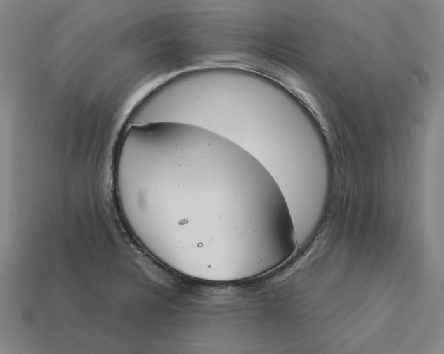 X0000113351328200910061010