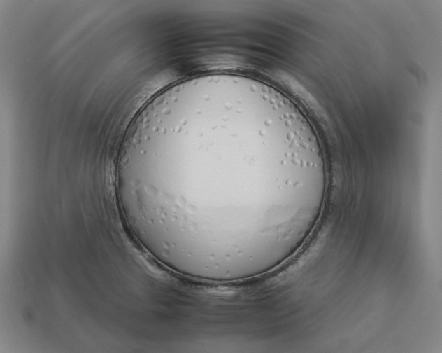 X0000113351329200910061010