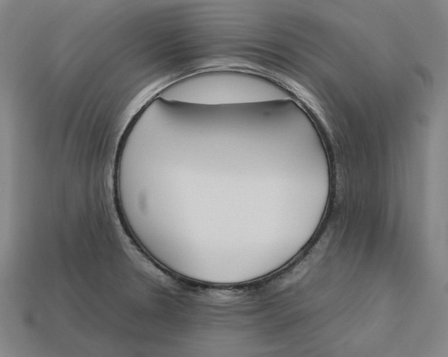 X0000113351330200910061010