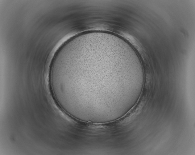 X0000113351331200910061010