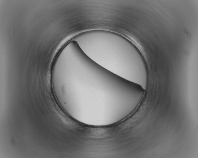 X0000113351332200910061010