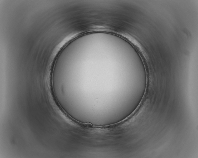 X0000113351333200910061010