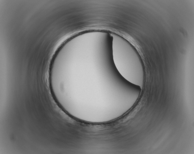 X0000113351334200910061010