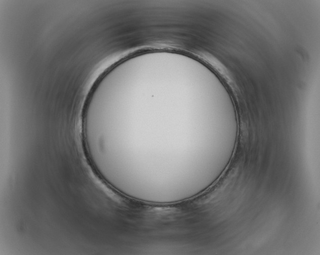 X0000113351335200910061010