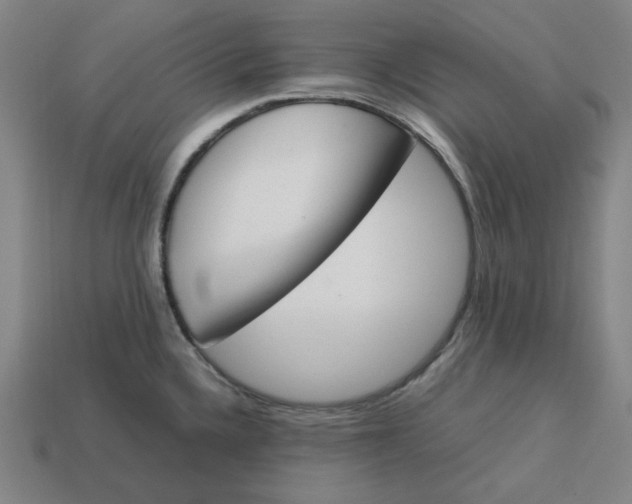 X0000113351336200910061010