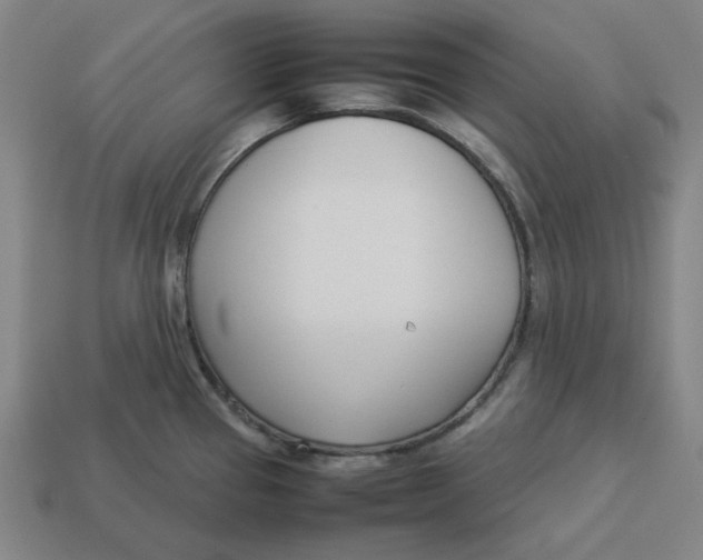 X0000113351337200910061010