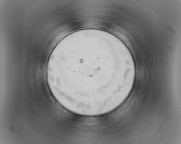 X0000113351338200910061010