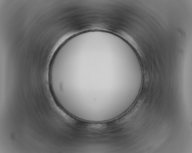 X0000113351339200910061011