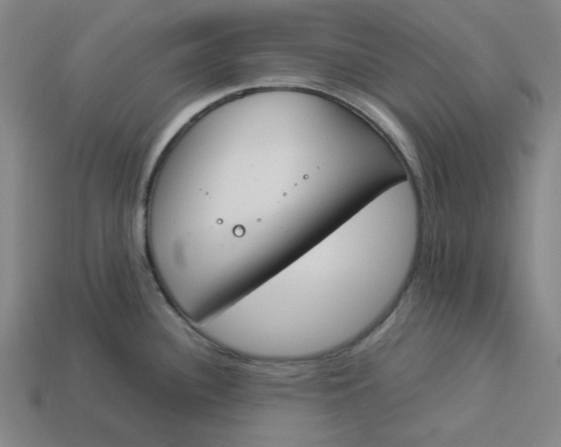 X0000113351340200910061011