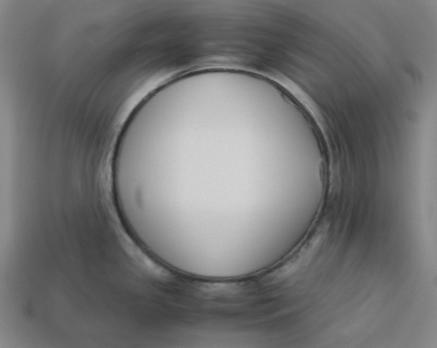 X0000113351341200910061011