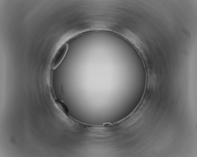 X0000113351342200910061011