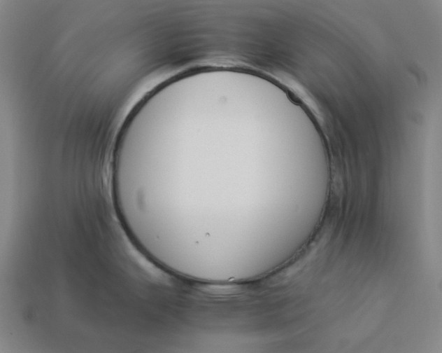 X0000113351343200910061011