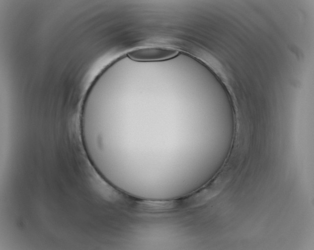 X0000113351344200910061011