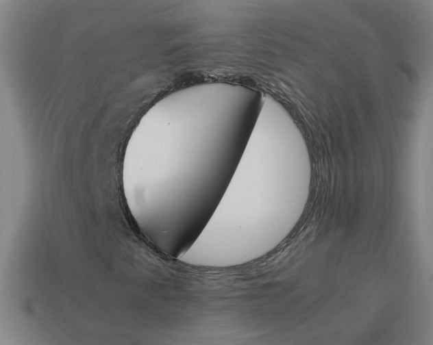 X0000113351345200910061010