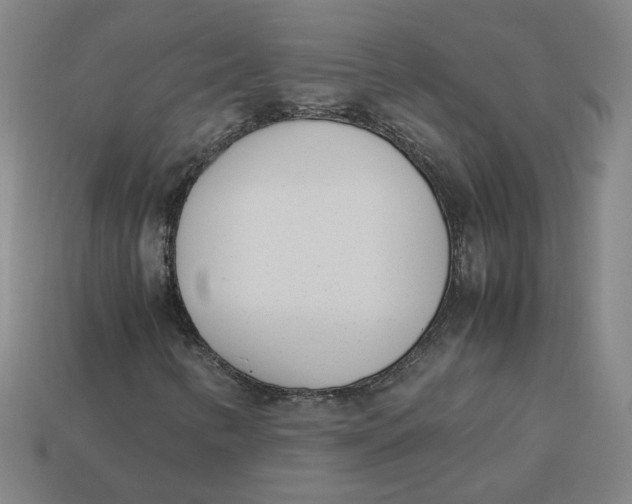 X0000113351346200910061010