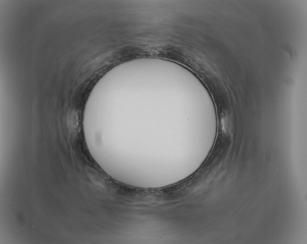 X0000113351347200910061010