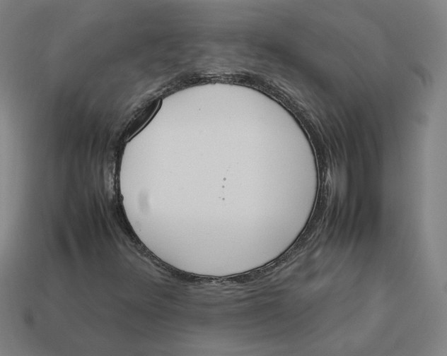 X0000113351348200910061010