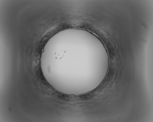 X0000113351349200910061010