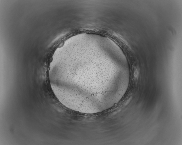 X0000113351350200910061010