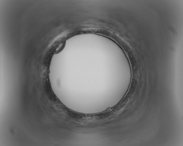 X0000113351351200910061010