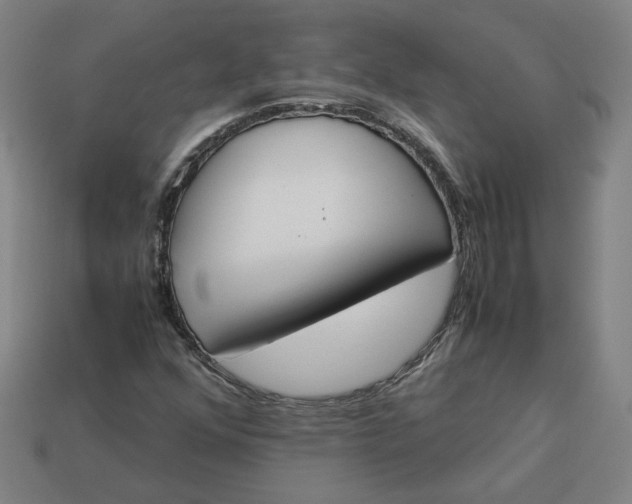 X0000113351352200910061010