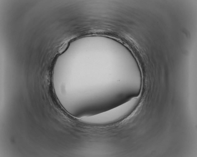 X0000113351353200910061010