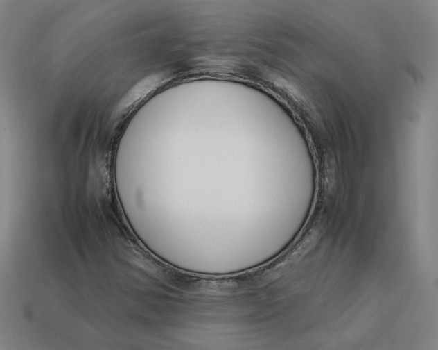 X0000113351354200910061010