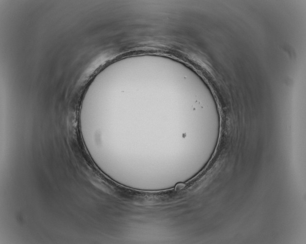 X0000113351355200910061010