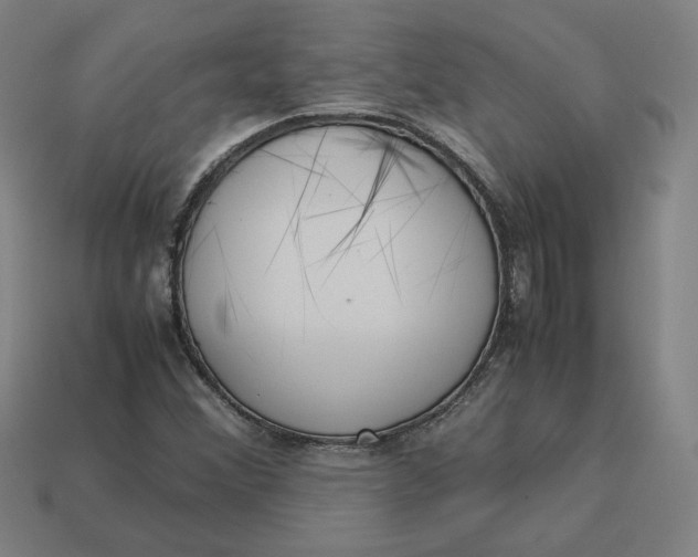 X0000113351356200910061010