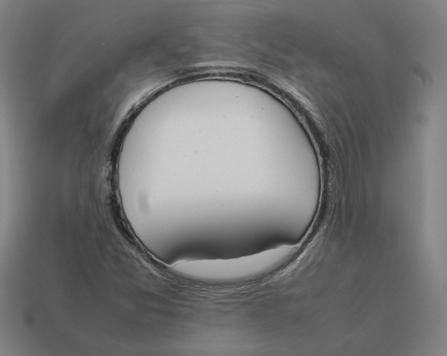 X0000113351357200910061010