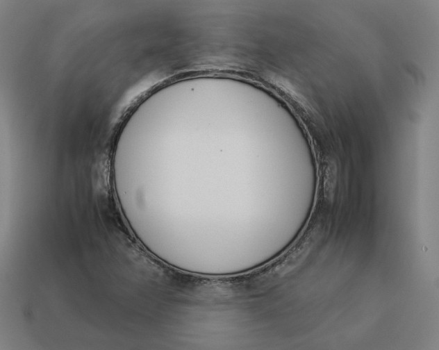 X0000113351358200910061010