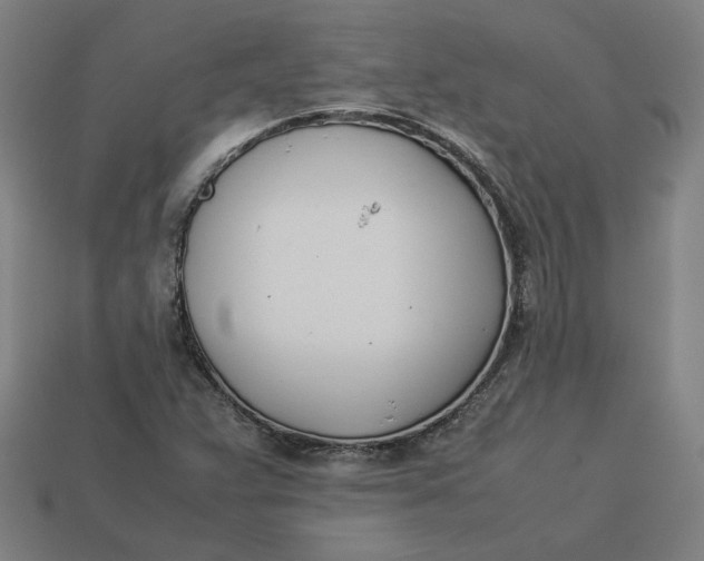 X0000113351359200910061010