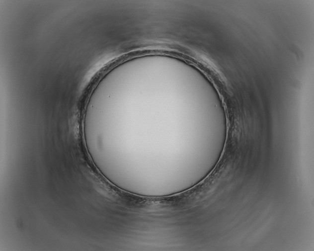 X0000113351360200910061010