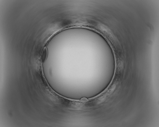 X0000113351361200910061010