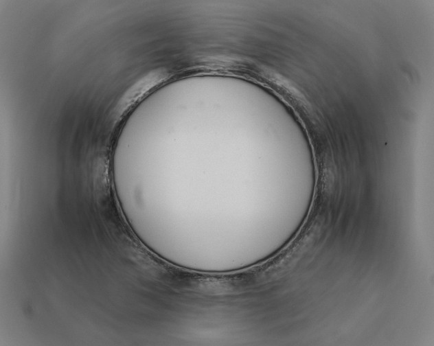 X0000113351362200910061010