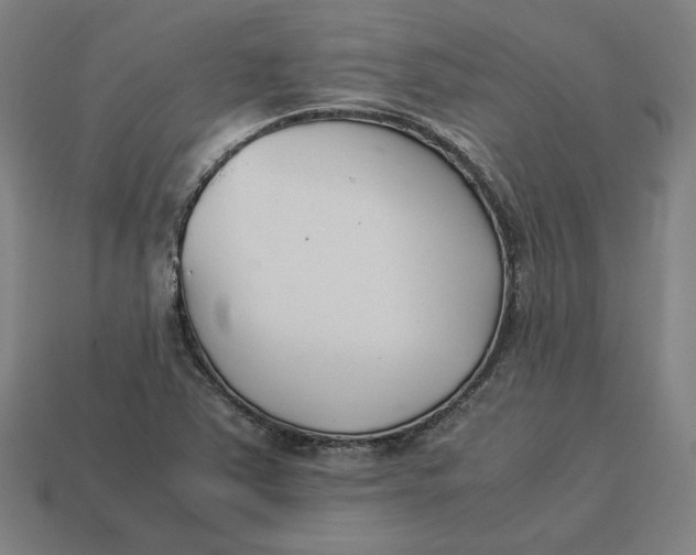 X0000113351363200910061010