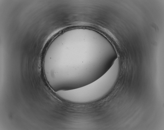 X0000113351364200910061010