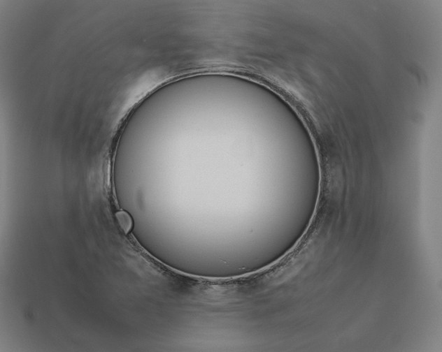 X0000113351365200910061010