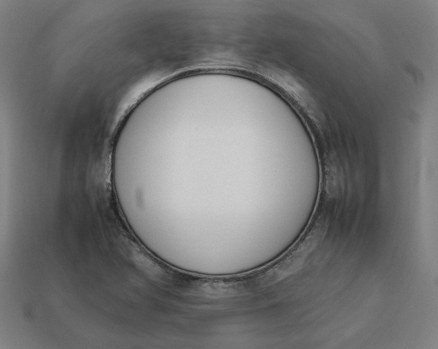 X0000113351366200910061010