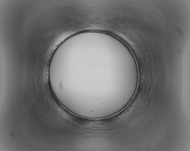 X0000113351367200910061010