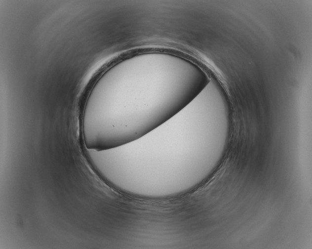 X0000113351368200910061010