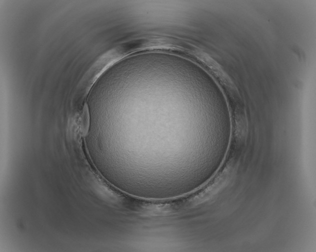 X0000113351369200910061010