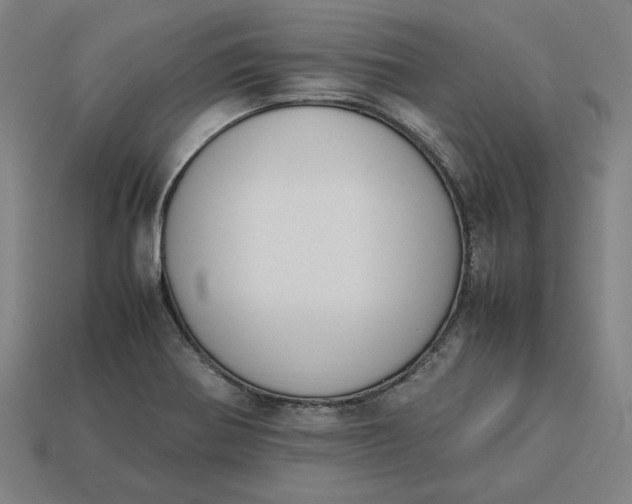 X0000113351370200910061010