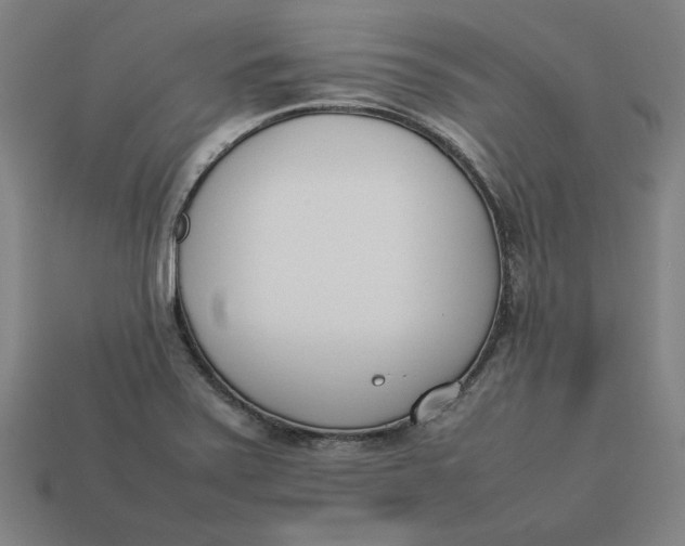 X0000113351371200910061010