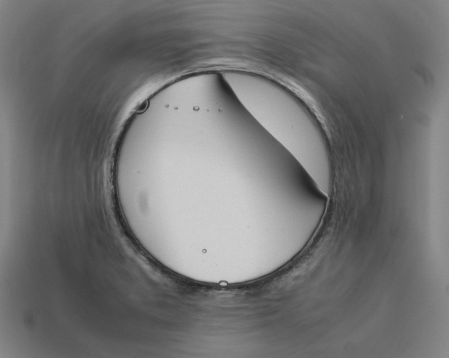 X0000113351373200910061010